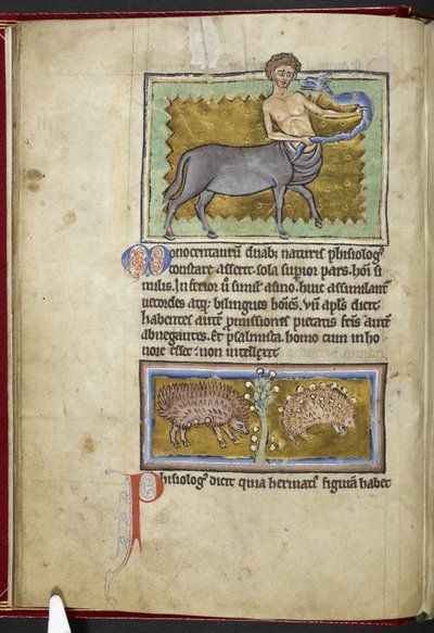 Centaur, from 