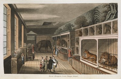 Royal menagerie, Exeter (Change Exchange), Strand. Select views of London: with historical and descriptive sketches of some of the most interesting of the public buildings compiled and arranged by J.B. Papworth by English School