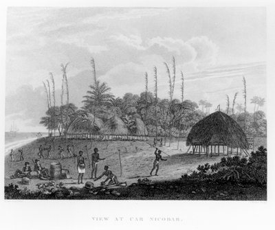 Sailors Collecting Provisions at Car Nicobar, from Voyages and Travels to India, Ceylon, The Red Sea by English School