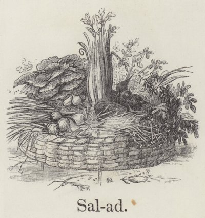 Salad by English School