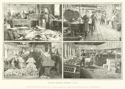 Salmon Canning, Oregon, USA by English School
