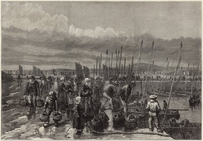Sardine Fishery on the Coast of Brittany by English School