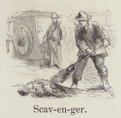 Scavenger by English School