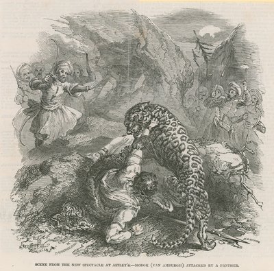Scene from the new spectacle at Astleys - Morok (Van Amburgh) attacked by a panther by English School
