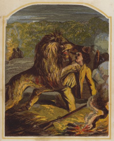 Scottish Missionary David Livingstone Attacked by a Lion in Africa by English School
