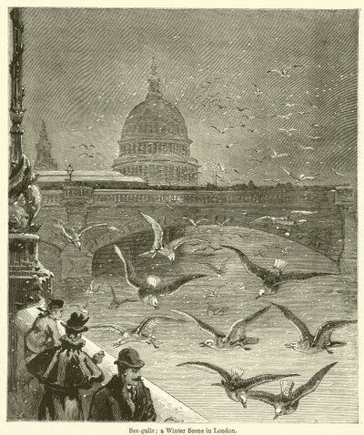 Sea-gulls, a Winter Scene in London by English School