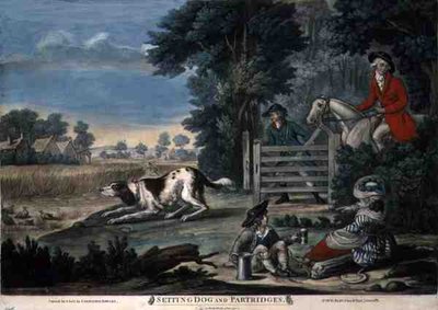 Setting Dog and Partridges, pub. by Carington Bowles by English School