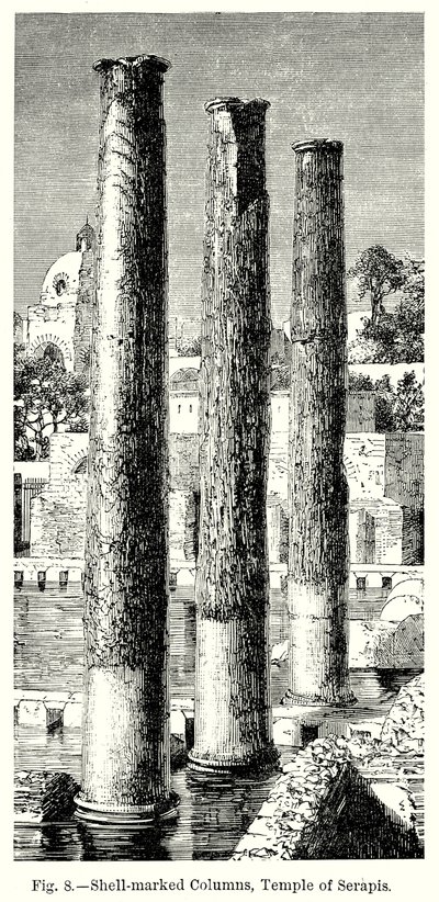 Shell-Marked Columns, Temple of Serapis (engraving) by English School