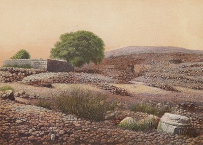 Shiloh by English School