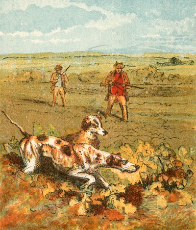 Shooting with Pointers by English School