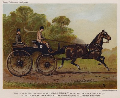 Single Harness Phaeton Horse "Columbine," Property of Charles Baynes Esq by English School