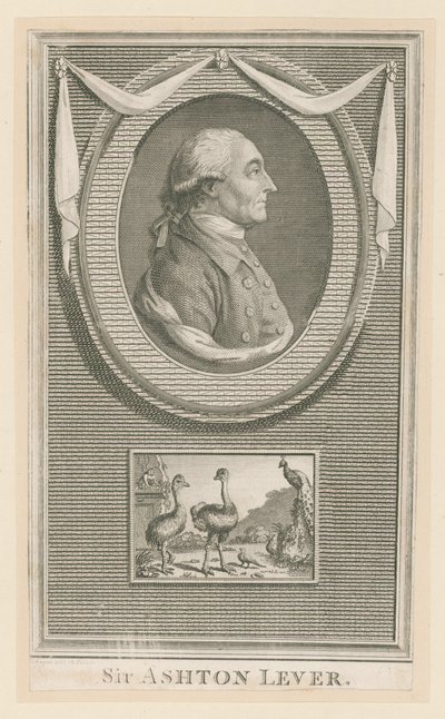 Sir Ashton Lever by English School