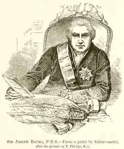 Sir Joseph Banks, P.R.S by English School