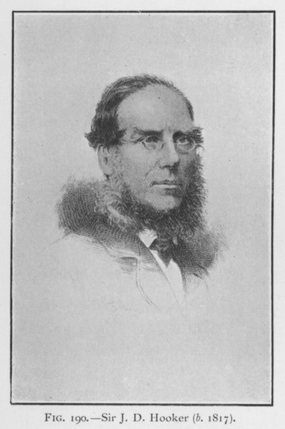 Sir Joseph Dalton Hooker (1817-1911), portrait by English School