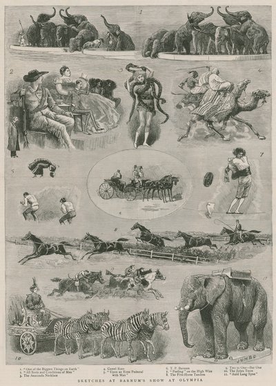 Sketches at Barnum