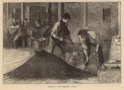 Sketches at a Tea Warehouse: Bulking by English School