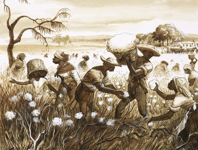 Slaves picking cotton by English School