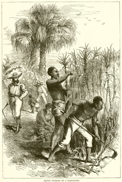 Slaves working on a plantation by English School