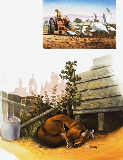 Sleeping Fox by English School