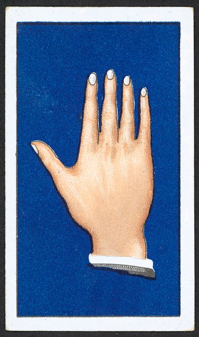 Smooth Pointed Finger Hands by English School