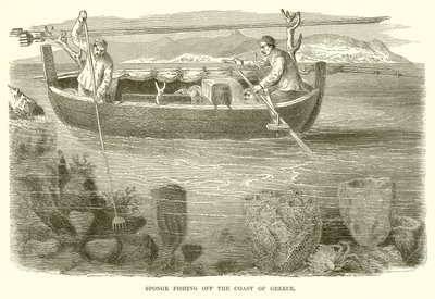 Sponge Fishing off the Coast of Greece by English School