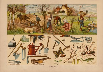 Spring by English School