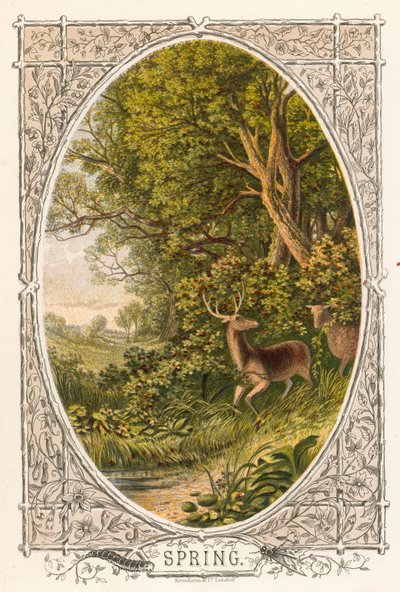 Spring by English School