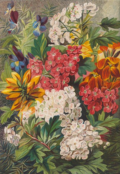Spring Flowers by English School