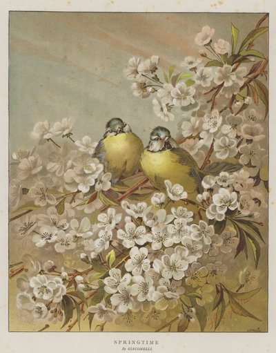 Springtime by English School