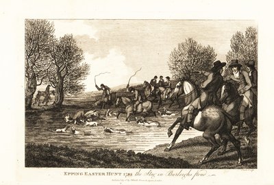 Stag hunters and hounds hunting a calf deer in the Epping Easter Hunt by English School
