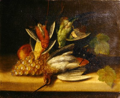 Still life of birds, c.1840 by English School
