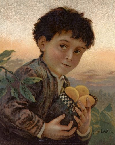 Stolen Fruit by English School
