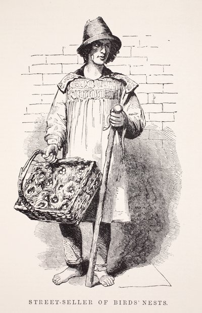 Street-seller of birds nests, illustration from London Labour and London Poor by Henry Mayhew, pub. 1862 by English School