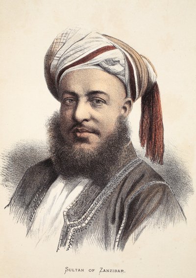 Sultan of Zanzibar, illustration from The Pictorial Edition of the Life and Discoveries of David Livingstone by J. Ewing Richie by English School