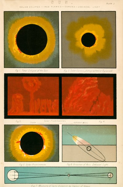 Sun by English School
