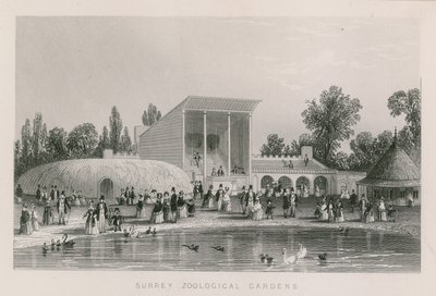Surrey Zoological Gardens by English School