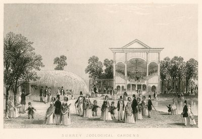 Surrey Zoological Gardens, Kennington, London: The New Orchestra by English School