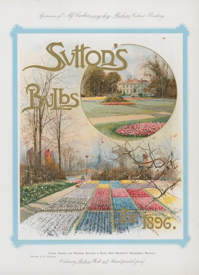 Suttons Bulbs for 1896 by English School