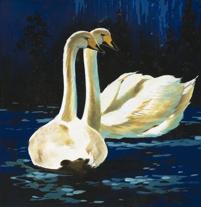 Swans by English School