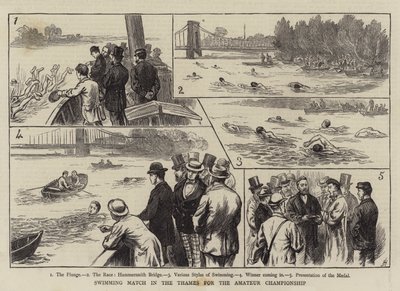 Swimming Match in the Thames for the Amateur Championship (engraving) by English School