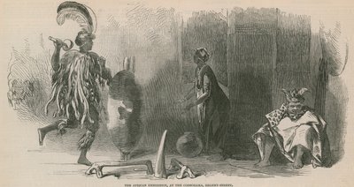 The African Exhibition at the Cosmorama, Regent Street by English School