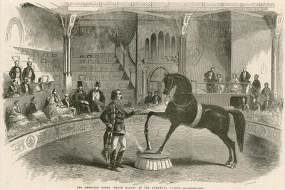 The American horse Black Eagle at the Alhambra Palace (Alhambra Theatre), Leicester Square, London by English School