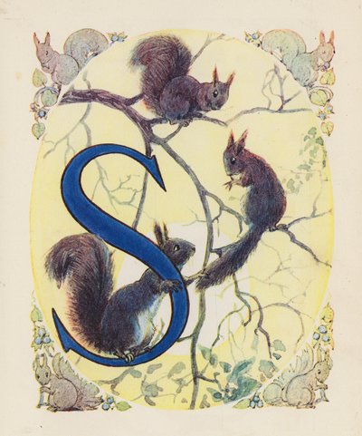 The Animal ABC: Letter S, Squirrel by English School