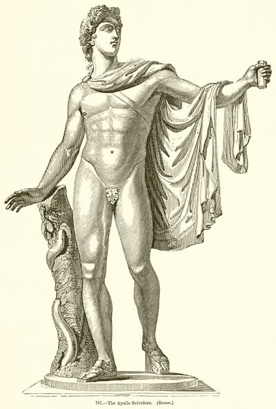 The Apollo Belvedere (Rome) by English School