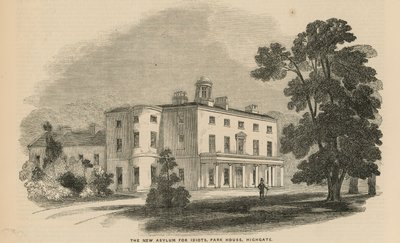 The Asylum for Idiots by English School