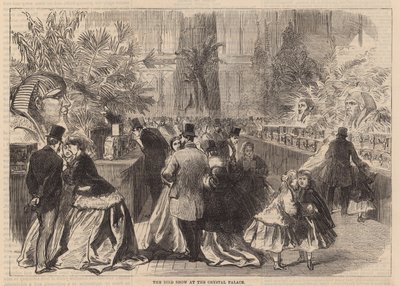 The Bird Show at the Crystal Palace by English School
