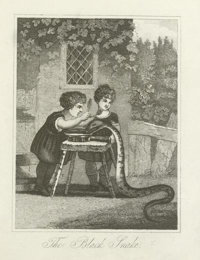 The Black Snake by English School