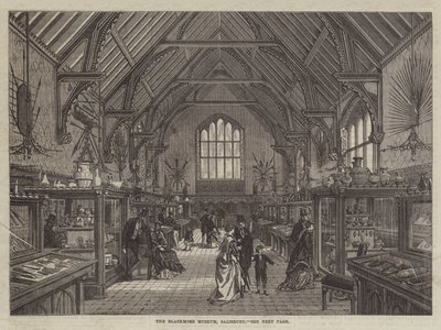 The Blackmore Museum, Salisbury by English School