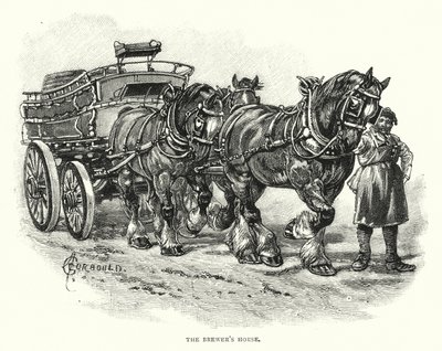 The Brewer