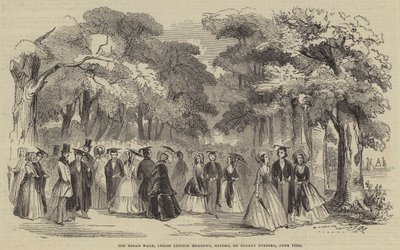 The Broad Walk, Christ Church Meadows, Oxford, on Sunday Evening by English School